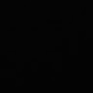 Meet your Posher, Anne